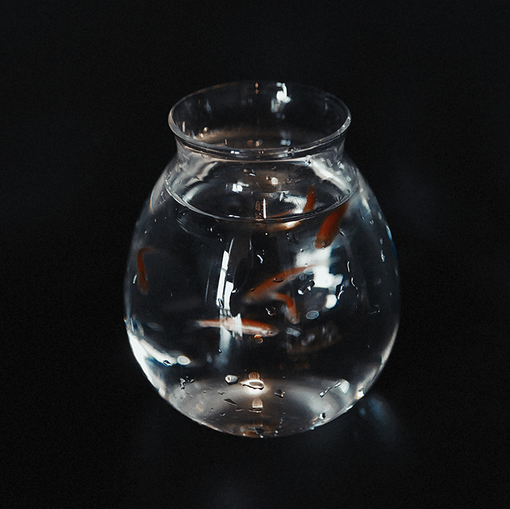 Lesliemint-