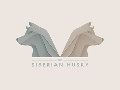 The_siberian_husky