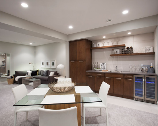 contemporary-basement