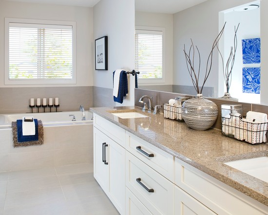 contemporary-bathroom (2)
