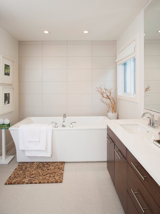 contemporary-bathroom (3)