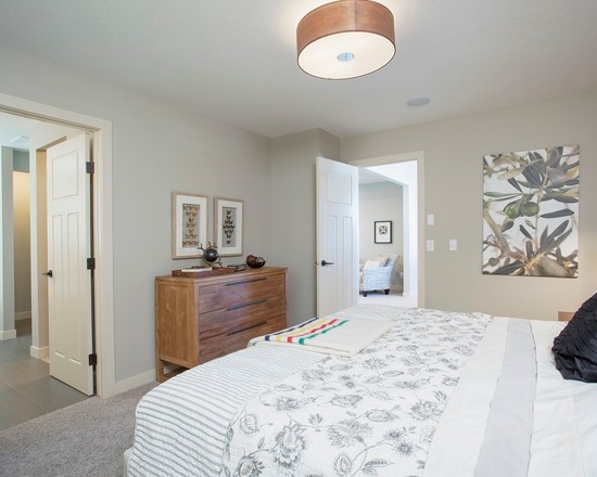 contemporary-bedroom (3)