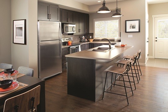 contemporary-kitchen (2)