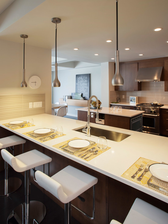 contemporary-kitchen (7)