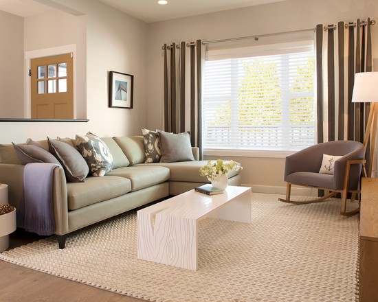 contemporary-living-room (6)