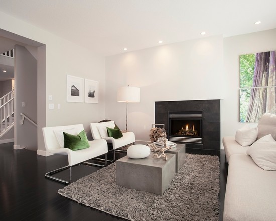 contemporary-living-room (9)