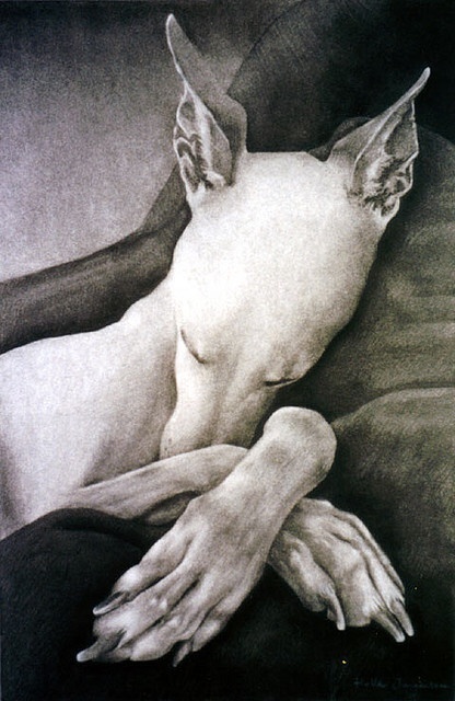 Charcoal drawing by Helle Jorgensen | Pencil & Charcoal