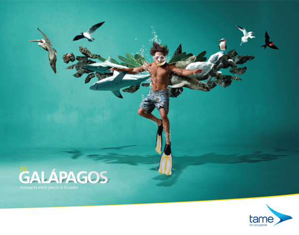 Tame Ecuador(航空公司)创意广告
