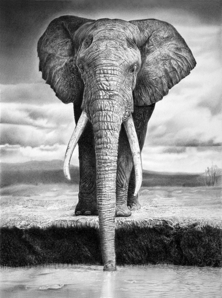 Astonishing Pencil Illustrations by Franco Clun | drawing