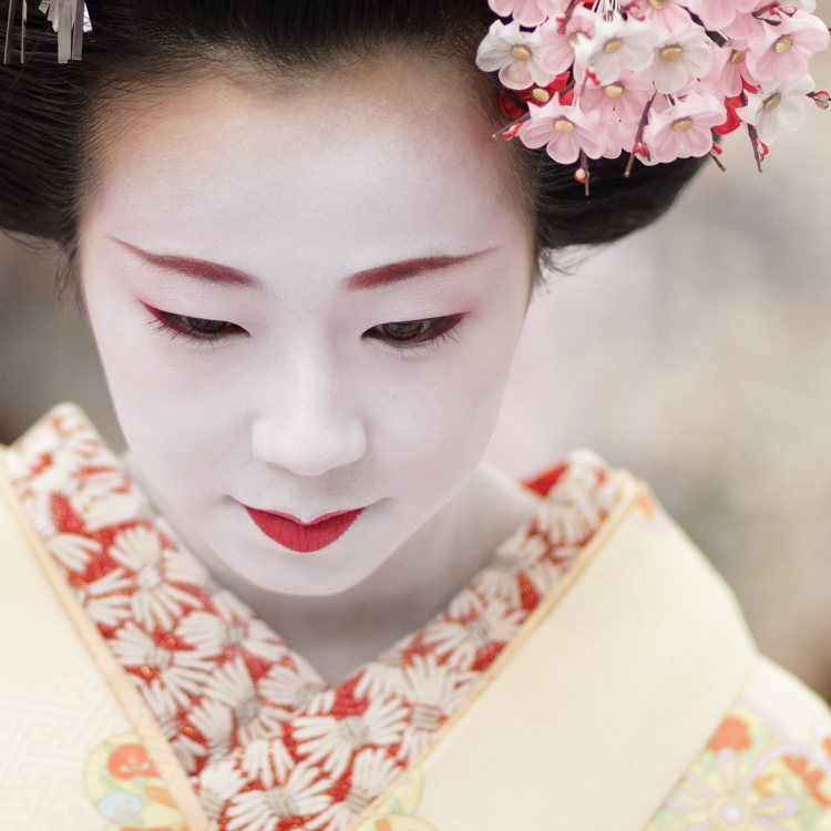 .The maiko (geisha apprentice) Satohina / 舞妓 さと雛さん / Kyoto, Japan