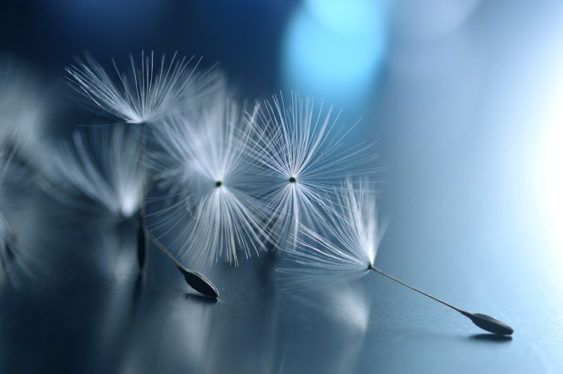 500px / Photo " Lazy hour" by Lafugue Logos