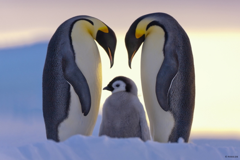 500px / Photo "Parents Love" by Anneliese & Claus Possberg