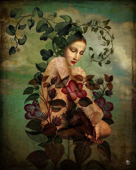 Christian Schloe