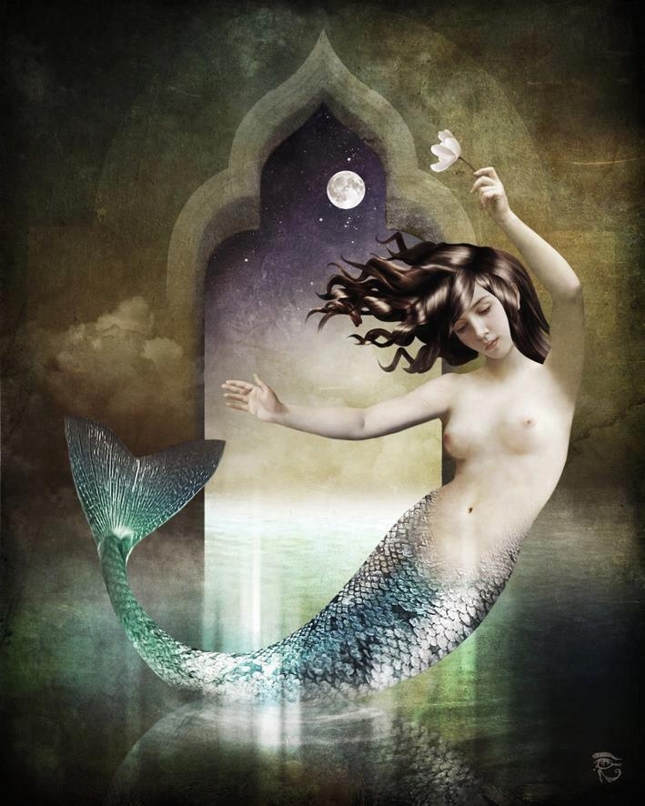 Christian Schloe