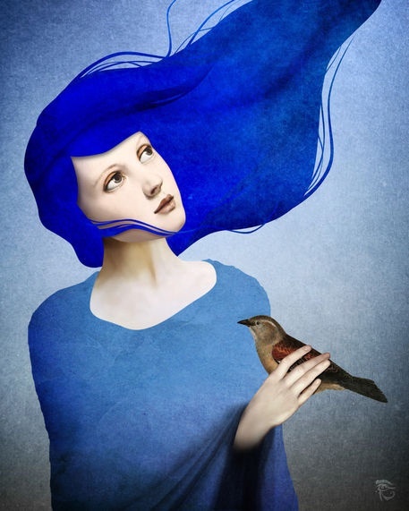 Night Bird by Christian Schloe