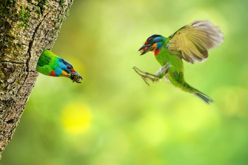 Taking Turns For Babies by Sue Hsu