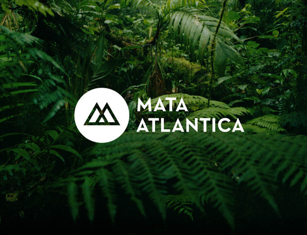 Mata Atlantica雨林- VI设计
