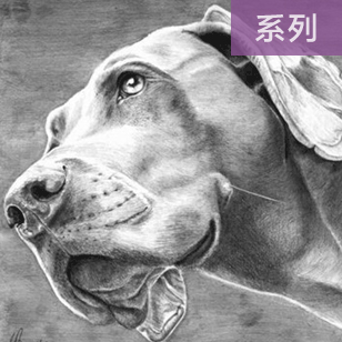 32张精美的狗狗绘画作品精选