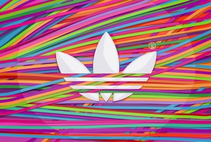 ADIDAS ORIGINALS / PITCH