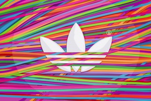 ADIDAS ORIGINALS / PITCH