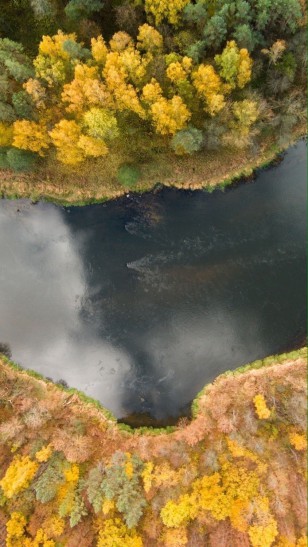 Autumn River