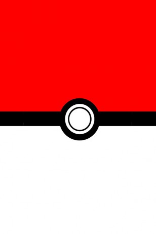 Pokemon - 《神奇宝贝》之精灵球