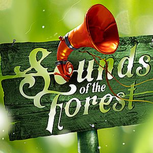 Sound of the forest