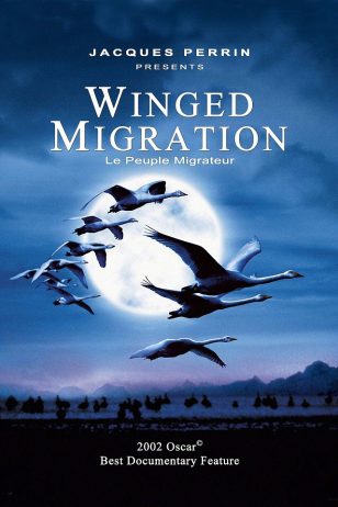 Le peuple migrateur - 《迁徙的鸟》