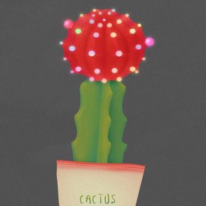 Cactus - 韩国插画师 Soh 多肉植物系列插画