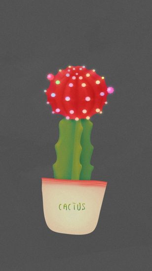 Cactus - 韩国插画师 Soh 多肉植物系列插画