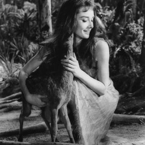 奥黛丽·赫本和她的鹿Pippin