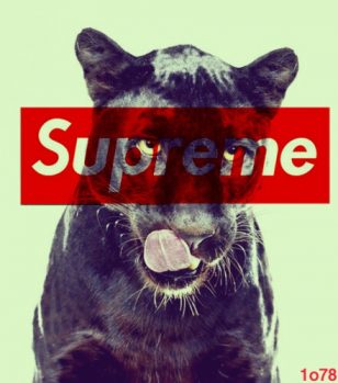 supreme