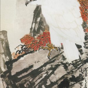 白鹰