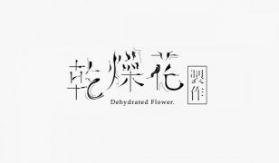 台湾设计师字体作品欣赏