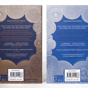 The Book of Strange New Things Paperback Book Cover Michel Faber 2