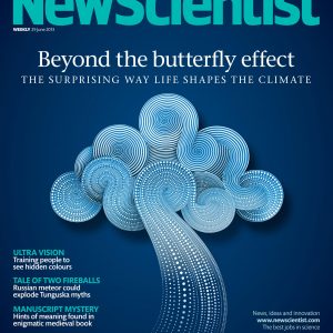 Beyond The Butterfly Effect / New Scientist