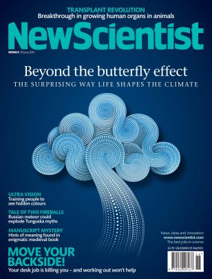 Beyond The Butterfly Effect / New Scientist