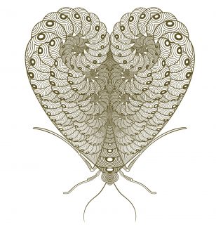 Moth To A Flame Book of Hearts Francesca Gavin