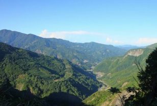 阿里山