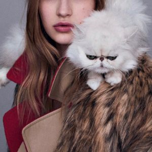 We Love Animals