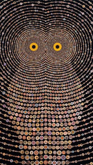 美国艺术家 Fred Tomaselli 作品