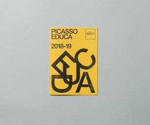 Picasso Educa