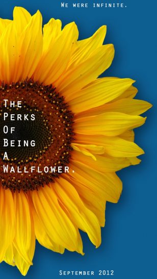 The Perks of Being a Wallflower - 《壁花少年》电影海报