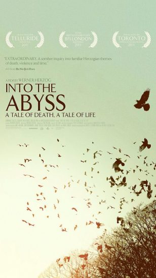 Into the Abyss - 《凝视深渊》电影海报