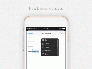 iOS Popover Concept