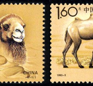 1993-3 《野骆驼》特种邮票