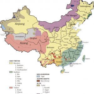1990年中国民族语言群体地图