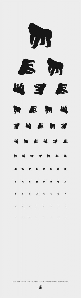 世界自然基金会 | World Wildlife Fund (WWF) | 英扬传奇 | CC&E | Eye chart