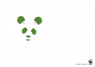 世界自然基金会 | World Wildlife Fund (WWF) | Mindspace Communications | Panda