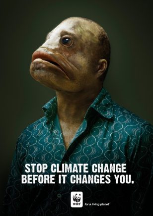 世界自然基金会 | World Wildlife Fund (WWF) | Germaine | Fish